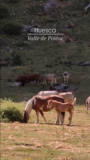 Qué ver en el Valle de Pineta 🏔️ | Uno de los rincones más bonitos del Pirineo de Huesca
