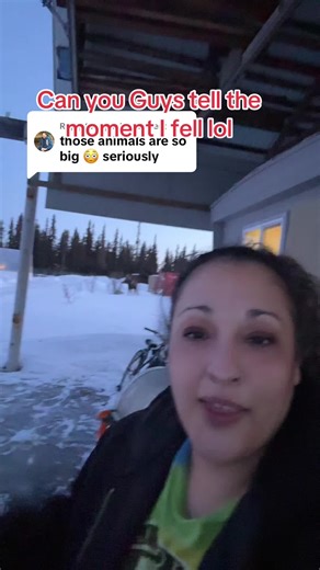 Watch Me Fall in Alaska: A Hilarious Moose Encounter