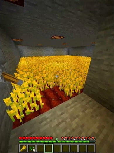 Minecraft Harvest Trick 💀