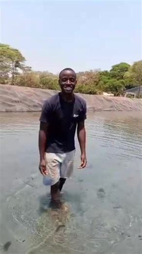 143K views · 1.1K reactions | For fish pond or Resavour construction Call or WhatsApp on 0971570980 or 0977381182 or visit us in person at Demo plot office in the show grounds of Lusaka | Musazye Fish -Agro | Facebook