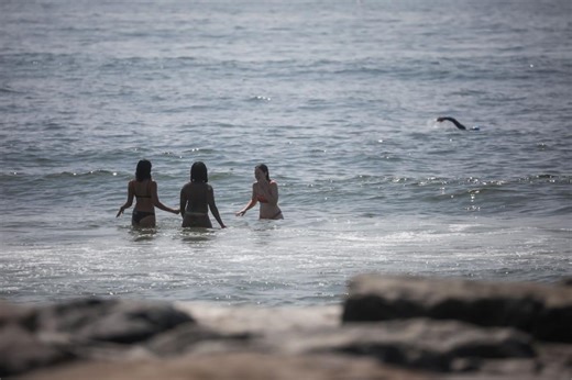 NYC beachgoers unfazed by latest spate of shark sightings: ‘We surf with the sharks’