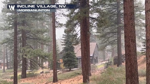 9.1K views · 166 reactions | LET IT SNOW! ❄️The higher elevations near Lake Tahoe, CA saw some light snow midday on Wednesday & locals were certainly jazzed about it! This was just an appetizer of what is hopefully a very wet winter in the Sierra Nevadas. | WeatherNation | Facebook