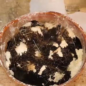 #fireball | How To Make Everything