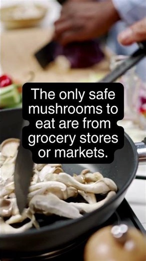 Wild Mushroom Poisonings Are on the Rise in California