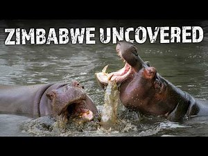 Victoria Falls Power & Survival in the Wild 🌊🦛| Explore Zimbabwe | Nature Full Episode