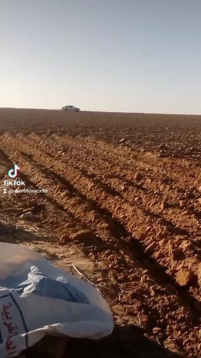 Exploring a Barren Field: The Art of Dry Farming