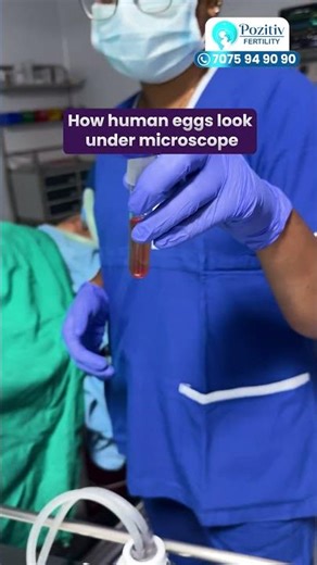 Human Egg Under Microscope | IVF Lab Real View | Pozitiv Fertility | #egg #ovulation #ivf