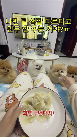 살면서 털 차별 당한 적은 처음이네ㅠ