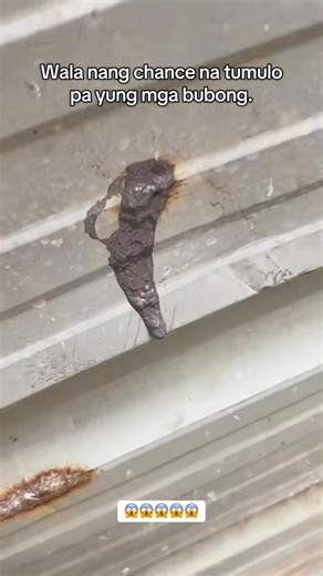 3.6K views · 19 reactions |  Shopee: https://s.shopee.ph/1BDzo4Q24L  Lazada: https://s.lazada.com.ph/s.FFhpu?cc  Tiktok: https://vt.tiktok.com/ZSHvPsUAkLDT3-ebHoS/ Waterproof Sealant Coating Rubber Spray ✨ #sealant #rubberspray #WaterproofSealant #spraypaint #LeakRepair #foryoupagereels #foryoupageシ CTTO of this video :) | Trending Recos PH | Facebook