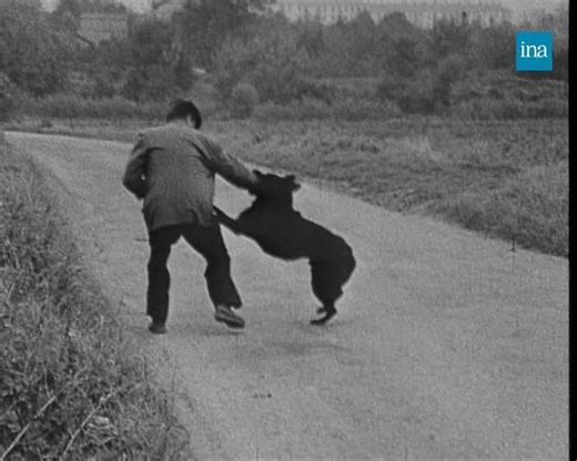MÉTIERS DE CHIEN 🐶 Chien policier, chien d’aveugle, chien d’avalanche, à chacun son job et son école. En 1964, les Coulisses de l’Exploit rendent hommage aux talents de nos chers amis canins. | INA