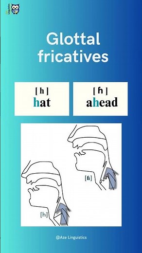 Stops, Fricatives, and Affricates: GLOTTAL FRICATIVES