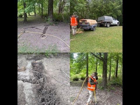 Brodie's Management Techniques and the Air Spade