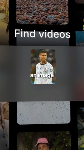 A video search engine, to find all the videos from the wild internet