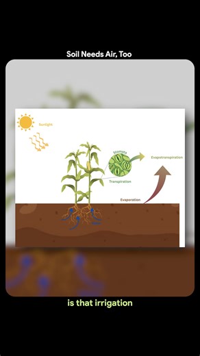 Theagritalkshow on Instagram: "Air circulation के बिना soil suffocate हो जाती है। chemical farming problems, solutions to chemical farming, impact of chemical fertilizers on soil, sustainable farming solutions india, soil health restoration, farming input cost problem, natural farming alternatives, indian agriculture challenges, chemical farming effects #ChemicalFarming #SustainableFarming #SoilHealth #IndianAgriculture #FarmingProblems #AgriSolutions #NaturalFarming #SmartFarming #AgriBusinessI