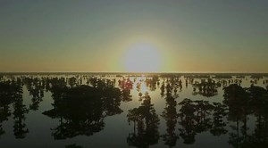 2.6K views · 242 reactions | Thank you Rob Davis Photography for your...