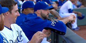 Scientists have discovered the world's most alarmingly large bug and it's on Billy Burns' hat