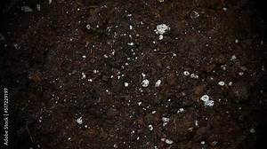 footage of natural ground background