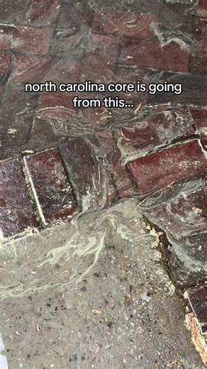 Living in North Carolina: Transformations and Insights