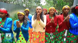 18K views · 1.1K reactions | Salale University wishes the university...