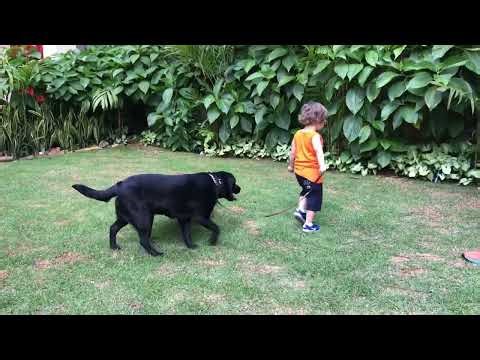 Jack and Bunny memory December 13, 2018