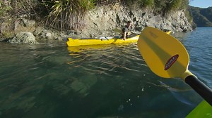 1.9K views · 45 reactions | There are many awesome kayak trips you can do in the Marlborough Sounds.Go for a couple of days and stay the night at a DOC camping spot. Find out more at www.MarlboroughNZ.com | Marlborough New Zealand | Facebook