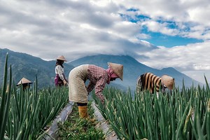 How We Trained an Algorithm to Predict What Makes a Beautiful Photo