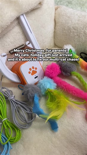 The detailed video of cat toys unpacking is here. Let's see if it's worth it.#tiktokshopblackfriday #tiktokshopcybermonday #happycode #cattoys #pettoys