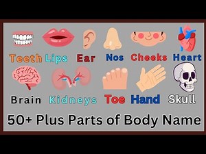 50+ Parts of body name | parts of body name with pictures | parts of body |