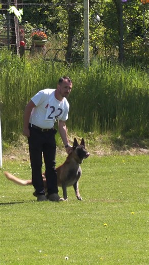 36K views · 654 reactions | Alle Videos online! Jetzt alle Videos der RSV2000 DM Lugau 2025 auf working-dog.com ansehen! https://www.working-dog.com/results/2025-09--11-05-2025-RSV-DM-beim-RSV2000-Lugau-21351944?unblock=1 working-dog: Share your Passion! | Working-dog | Facebook