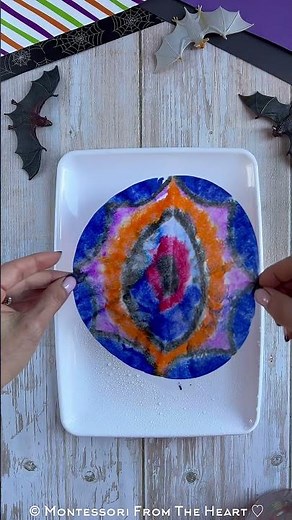 Coffee Filter Bat Chromatography Halloween Kids Craft