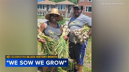 Chicago Urban Farming: We Sow We Grow Project taking back the soil in West Pullman