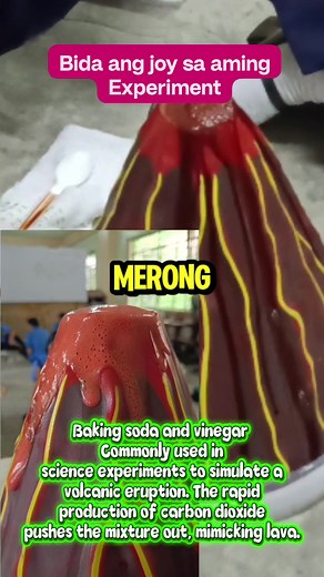 Baking soda and vinegar is Commonly used in science experiments to simulate a volcanic eruption. The rapid production of CO2 pushes the mixture out, mimicking lava. #ScienceInAction #scienceisfun #classroomactivities | Maria Fe Maninang