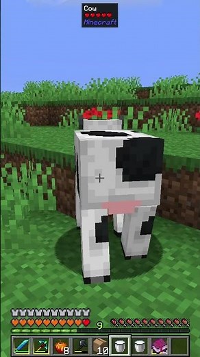 Making Cheese #modded #minecraft #mceternal