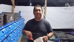 Sir ALLAN's Crab pets 🦀🦀🦀🦀🦀🦀🦀🦀🦀 ☺☺☺🤗🤗🤗😇😇😇 ___________________________________________ " VERTICAL FARMING/FATTENING OF MUD CRABS" We conduct Trainings/Seminars. ONSITE TRAINING ONLINE TRAINING -SEND US DIRECT MESSAGE🙂🙂🙂 ___________________________________________ VENUE Address: #151 Sto. Nino, Masantol, Pampanga 2017 Philippine Crab Aquaculture see Map: ( REDSEA SEAFOOD DELIGHTS INC. ) Searcheable on Google Maps: https://bit.ly/3fvRfZk ___________________________________________