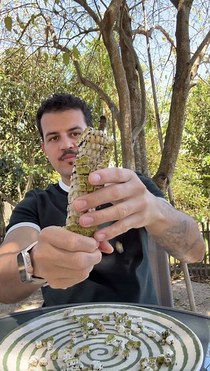 O que acontece ao comer Costela-de-adão fora do ponto?