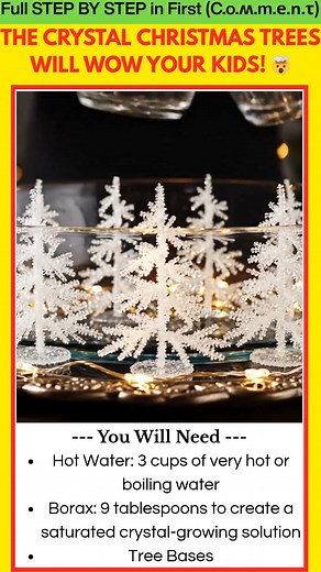 Make Your Own Crystal Christmas Trees at Home Looking for a winter science activity that kids will love? These DIY Crystal Christmas Trees are sparkling, magical, and incredibly simple to create. With just a few basic ingredients, you can grow beautiful shimmering crystals right at home. | Kira Recipes