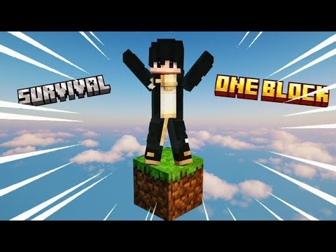 AKU BERTAHAN HIDUP DI MINECRAFT ONE BLOCK SELAMA 100 HARI!!,APAKAH AKU BISA? | Part 2 |
