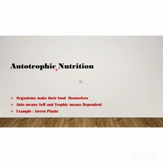 Class 7 Science Chapter 1 Nutrition -1 Modes of Nutrition in Plants - Autotrophic# Study