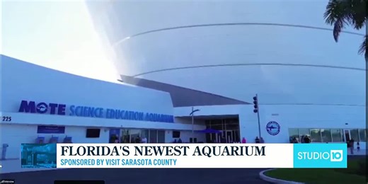 Visit the Mote Science Education Aquarium Sarasota County this spring break