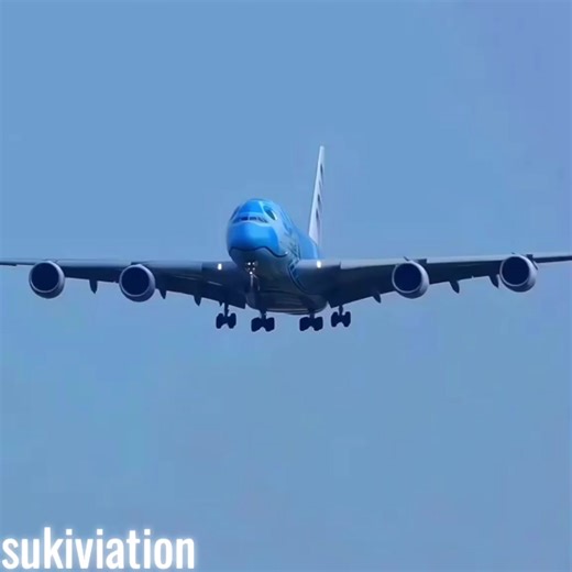 lion air dan ana air cuyy 👌🗿 #fyo #aviaion #edit #planes #lionair