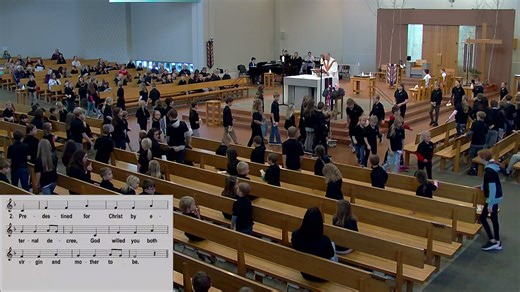 Immaculate Conception of Mary | Saint Mary's Catholic Church