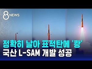 정확히 날아 표적탄에 '쾅'…L-SAM 개발 성공 / SBS 8뉴스