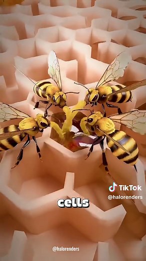 The Secret Life of Bees: Survival and Sacrifice