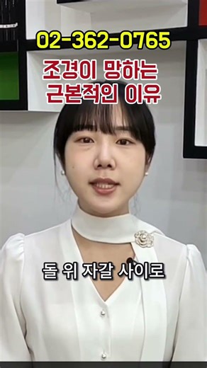 조경이 망하는 근본적인 이유는? 기초 공사 때문 #shorts