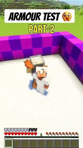 Minecraft Armour Test ⚔️ | Husk vs Armour Sets (Normal Mode) Part 2 #shorts #minecraft