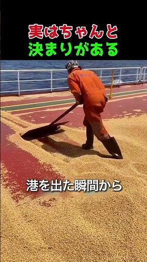 Why grain is thrown into the sea from ships