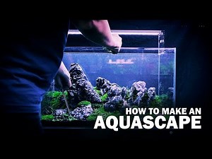 HOW TO MAKE AN AQUASCAPE BY GREEN AQUA - WITH LIVE AQUARIUM PLANTS