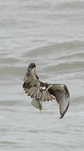 233K views · 3.3K reactions | We are all guilty of biting off more...