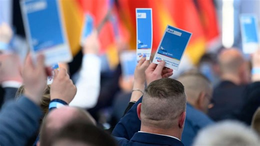 Parteien: Sachsen-Anhalts AfD beschließt Radikalprogramm