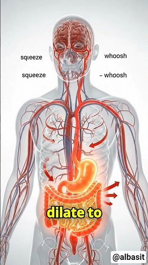 The Food Coma Secret! 😴 Why You Get Sleepy After Eating (Blood Flow Explained!)#shorts#health#nap